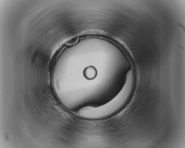 X0000103260973200809121920