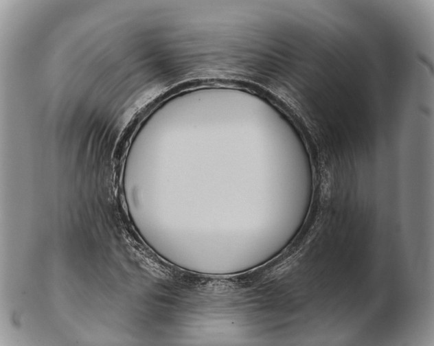 X0000103260974200809121920