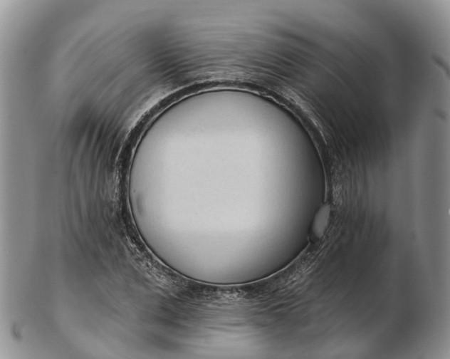 X0000103260975200809121919