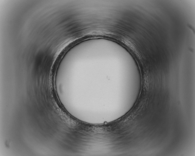 X0000103260976200809121919