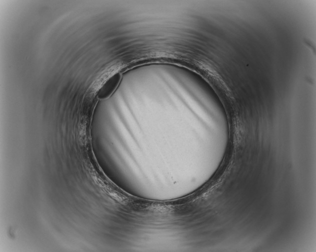 X0000103260977200809121919