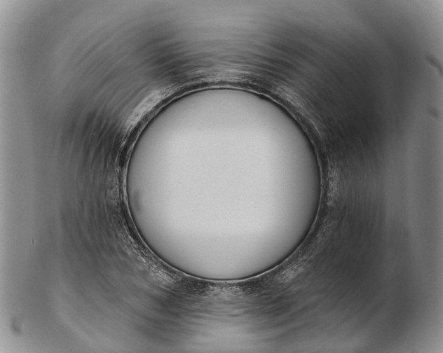 X0000103260978200809121919