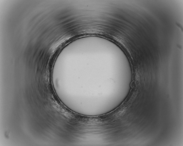 X0000103260979200809121919