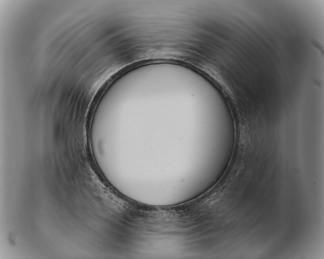 X0000103260980200809121919