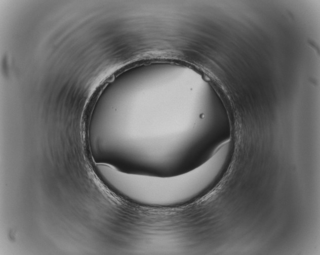 X0000103260981200809121919