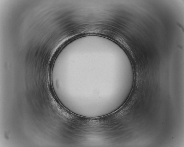 X0000103260984200809121919