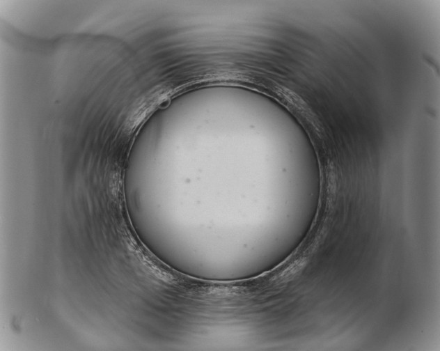 X0000103260985200809121919