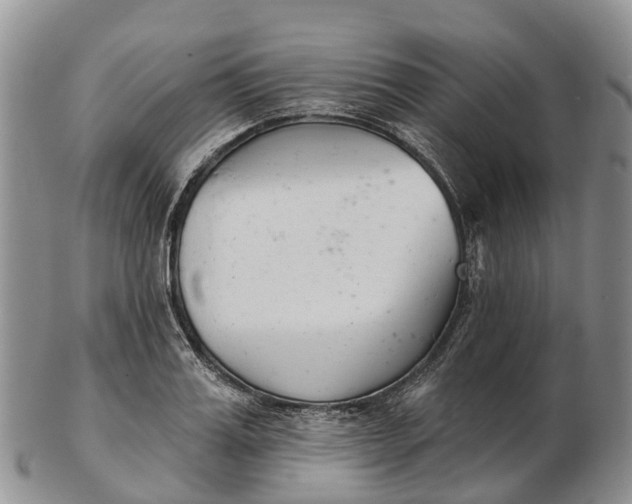 X0000103260987200809121919