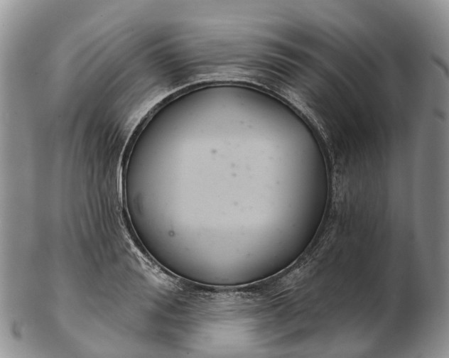 X0000103260988200809121919