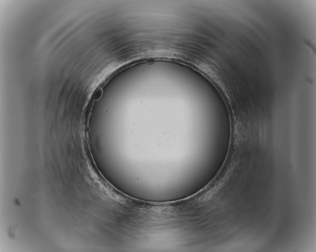 X0000103260989200809121919