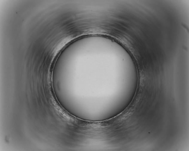 X0000103260990200809121919