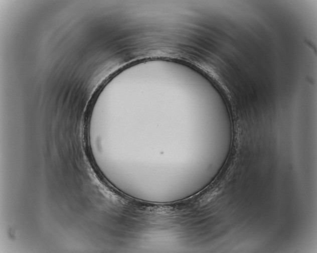 X0000103260991200809121919