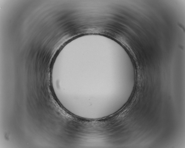 X0000103260992200809121919