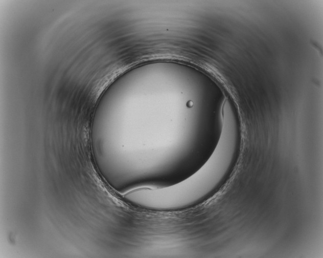 X0000103260993200809121919