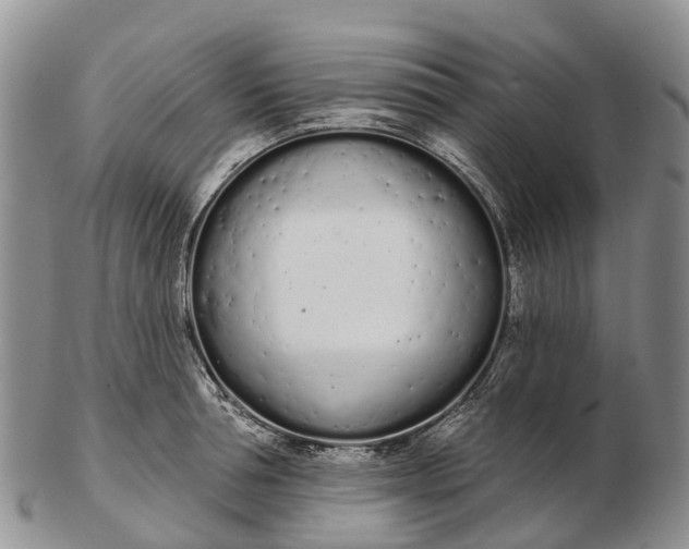 X0000103260994200809121919