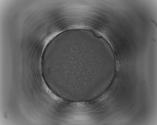 X0000103260995200809121919