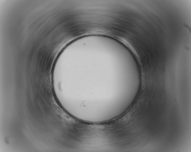 X0000103260996200809121919