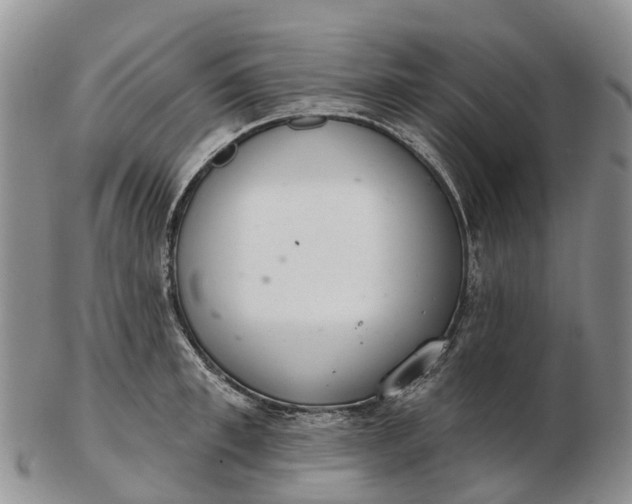 X0000103260997200809121919