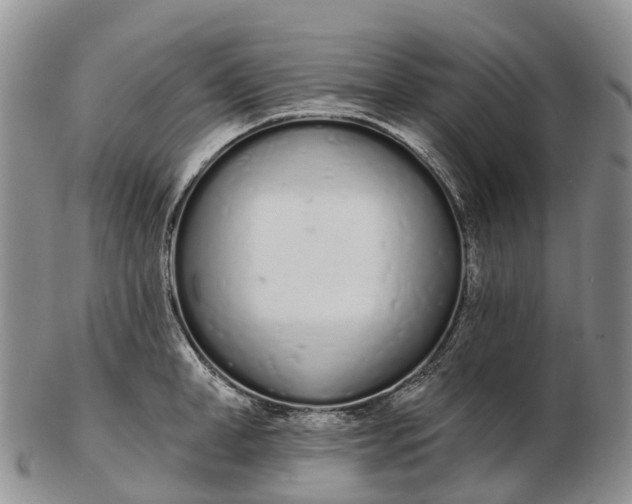 X0000103260998200809121919