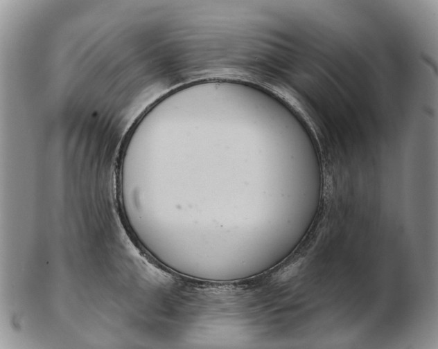 X0000103260999200809121919