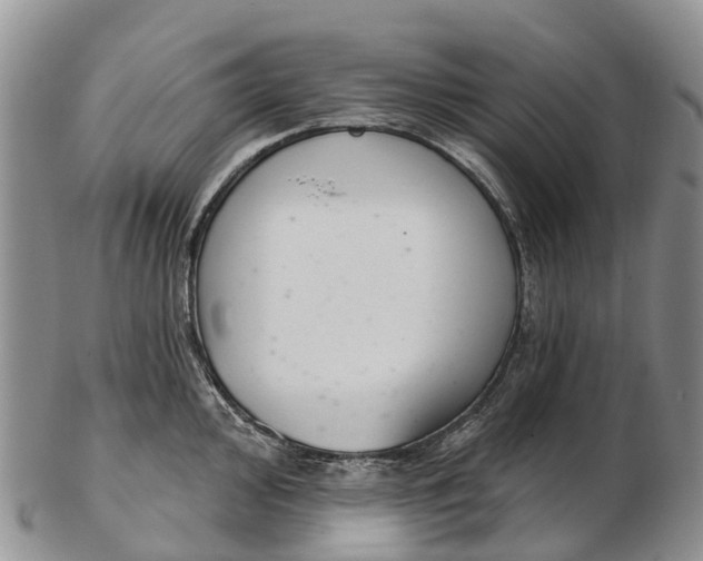 X0000103261000200809121919