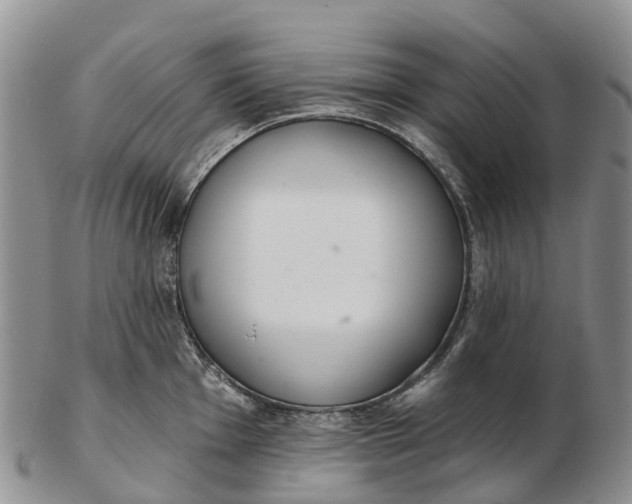 X0000103261001200809121919