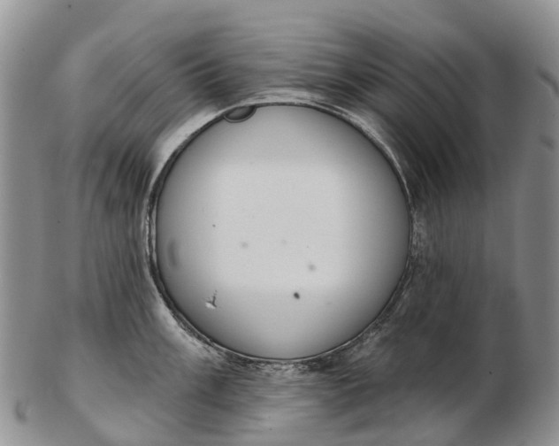 X0000103261003200809121919