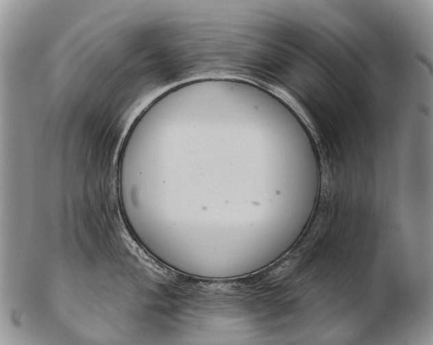 X0000103261004200809121919