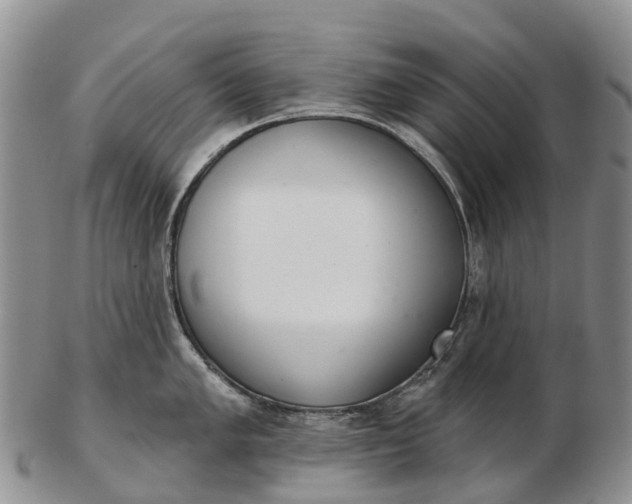 X0000103261005200809121919