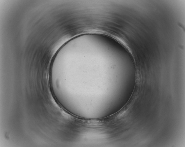 X0000103261007200809121919