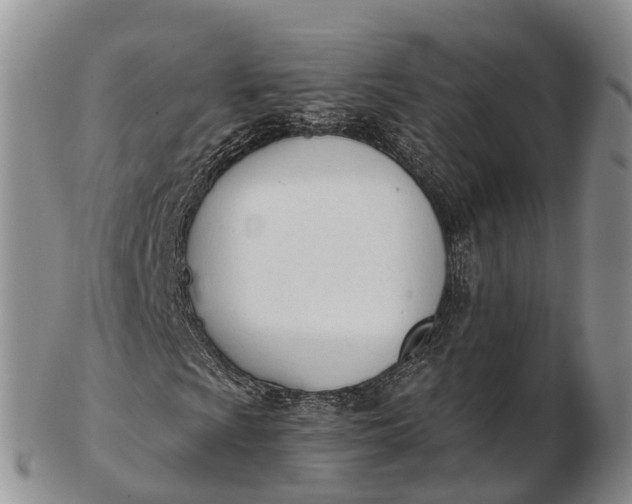 X0000103261009200809121918