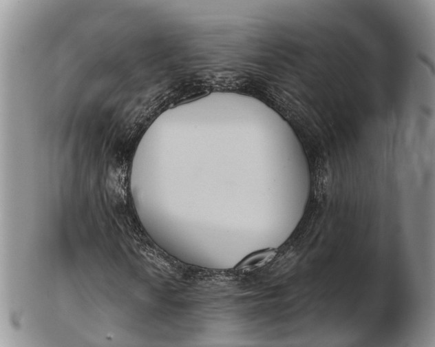 X0000103261010200809121918