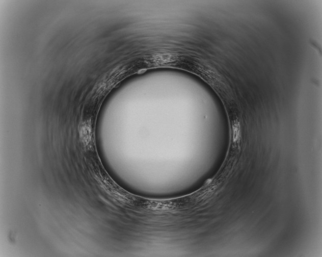 X0000103261011200809121918