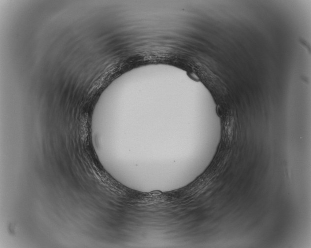 X0000103261012200809121918