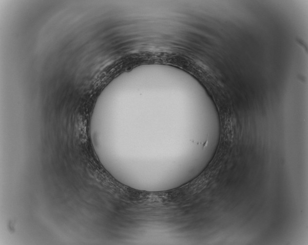 X0000103261013200809121918