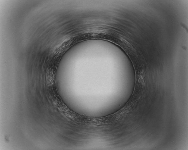 X0000103261014200809121918