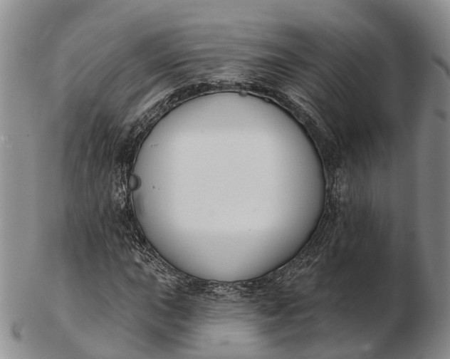 X0000103261015200809121918