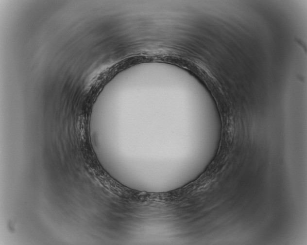 X0000103261016200809121918