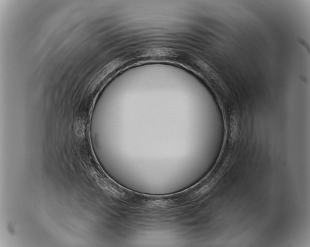 X0000103261017200809121918