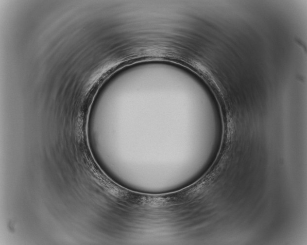 X0000103261019200809121918