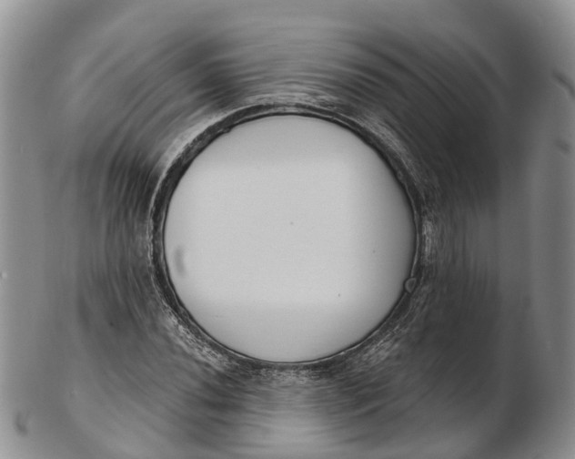 X0000103261020200809121918