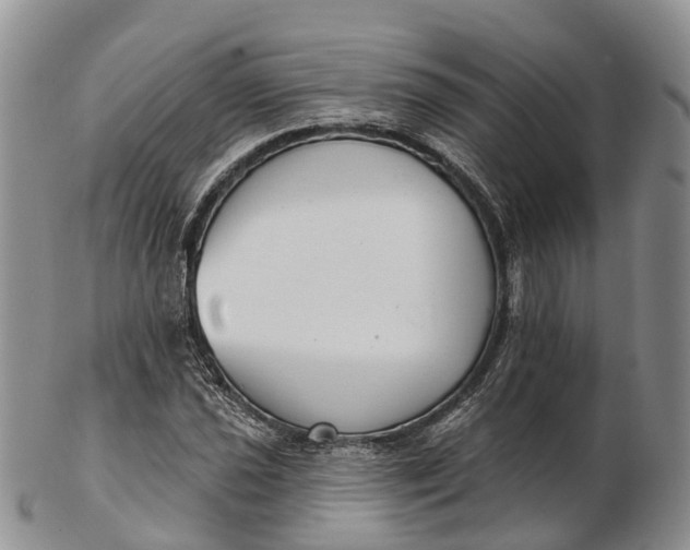 X0000103261021200809121918