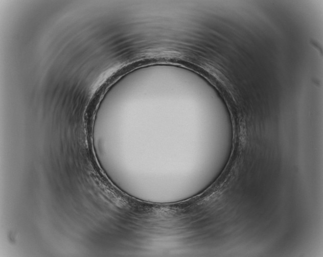 X0000103261022200809121918