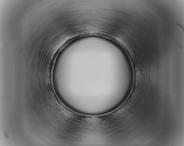 X0000103261023200809121918