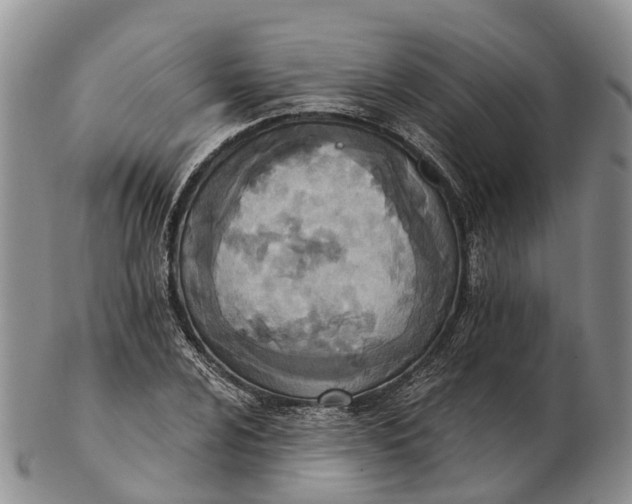 X0000103261024200809121918