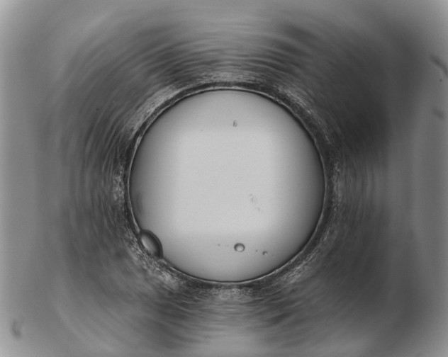 X0000103261025200809121918