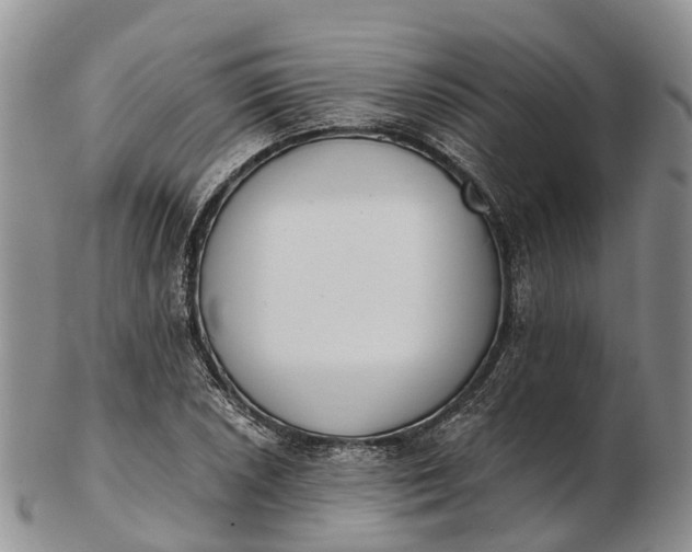 X0000103261026200809121918