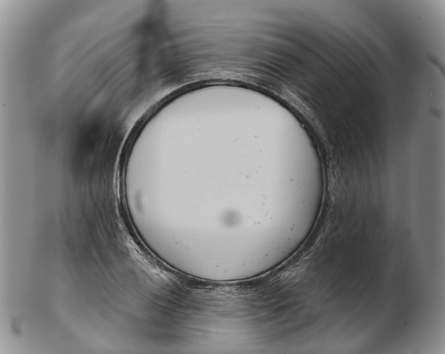 X0000103261028200809121918