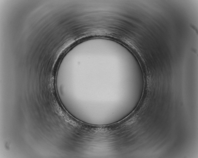 X0000103261029200809121918