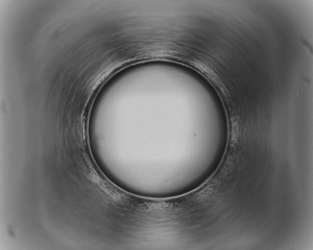 X0000103261031200809121918